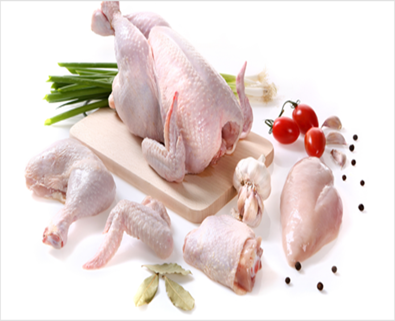 chicken