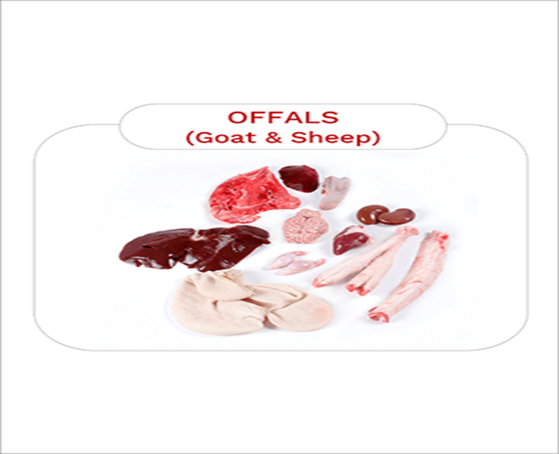 Goat&sheep