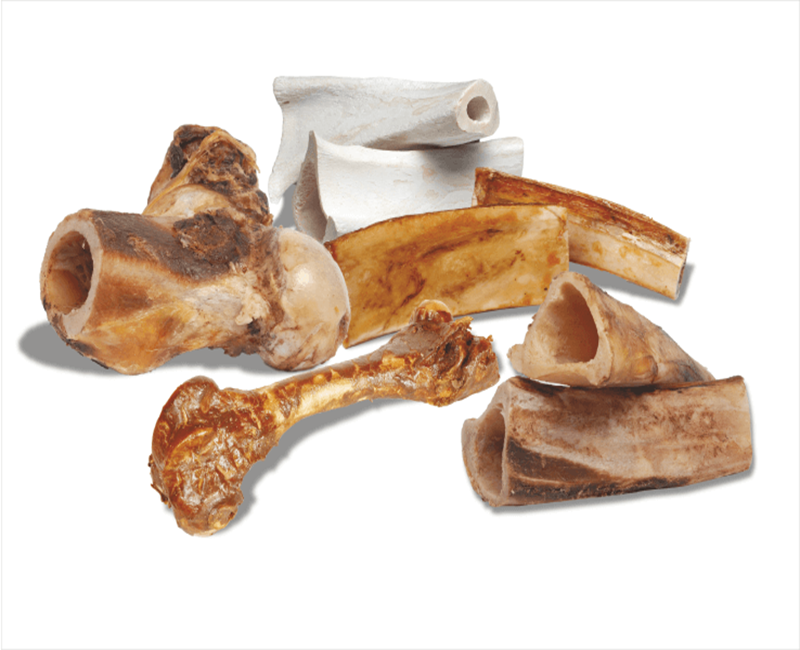 Bones