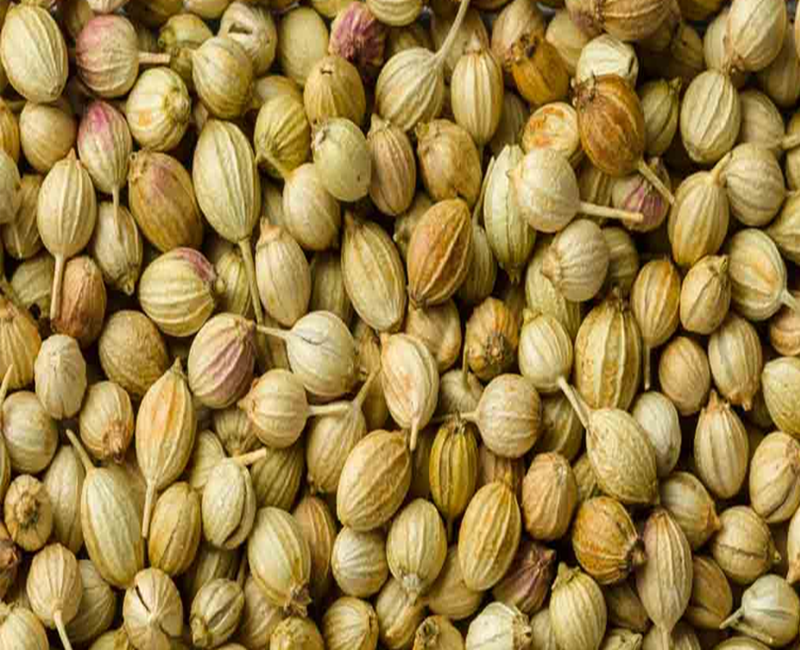 Coriander Seeds