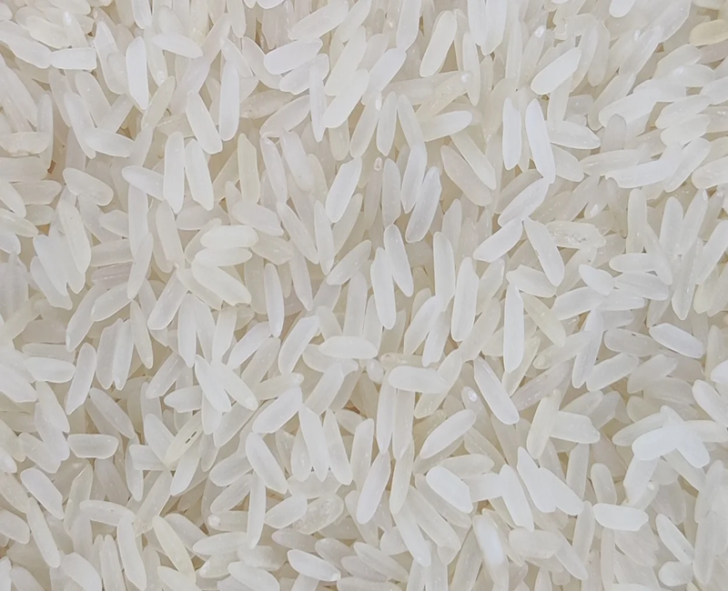 Sugandha Rice