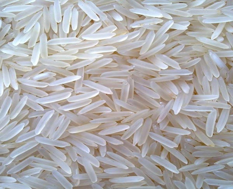 1509 Basmati