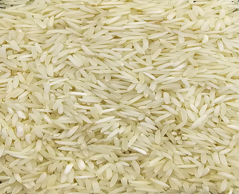 Sugandha Raw Rice