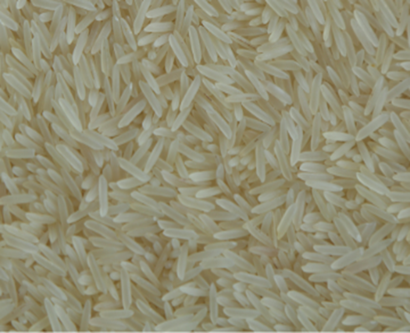 Sugandha Rice