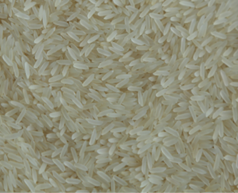PR 11 Rice