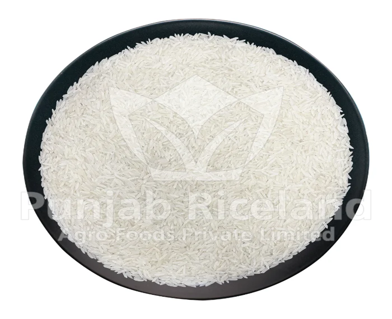 1509 Creamy Sella Basmati Rice