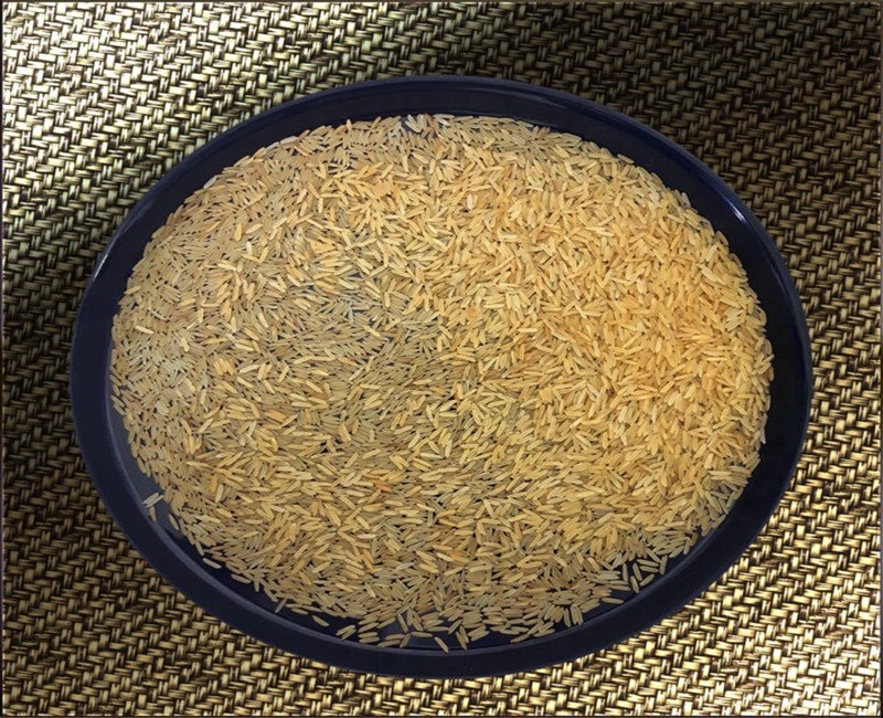 1121 Golden Sella