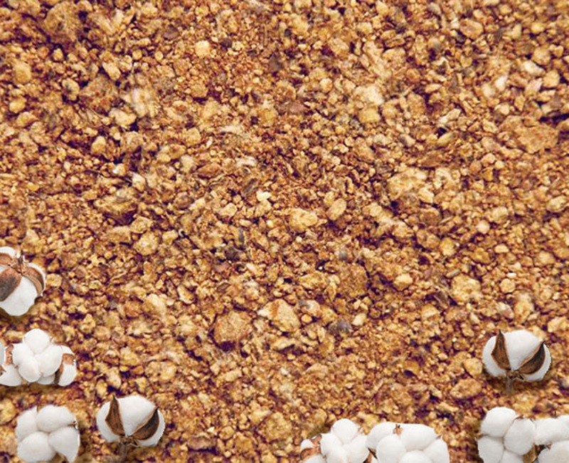 Cottonseed