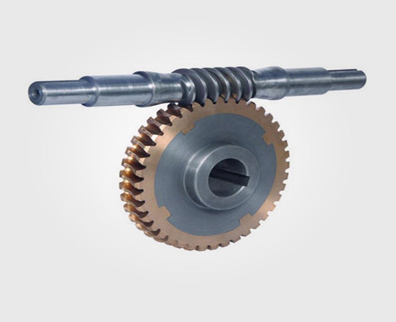Worm Shaft
