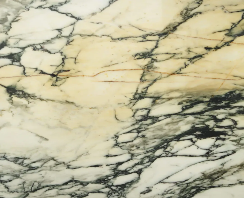 Calacatta Gold Paonazzo