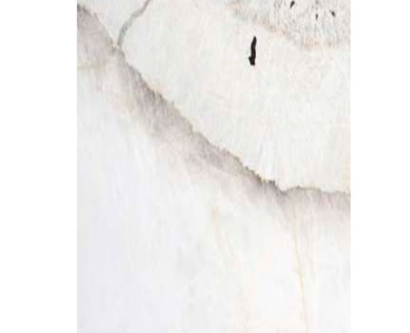 White patagonia