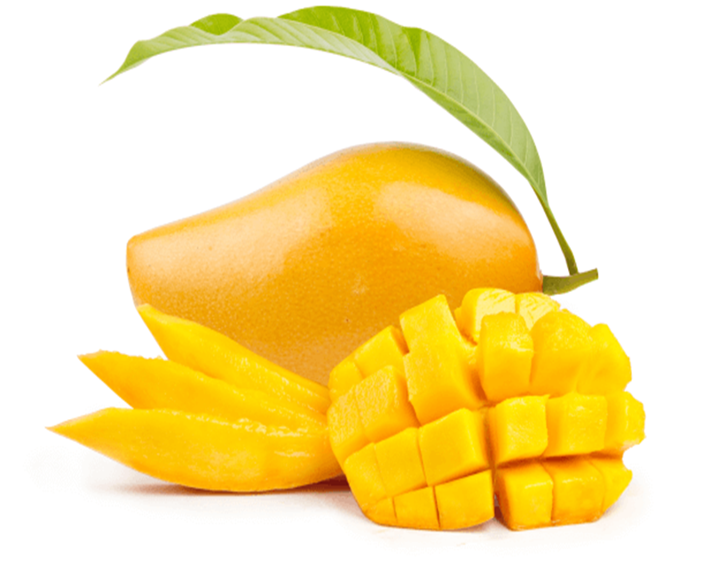 6971fe8d483ec1769078413.png
