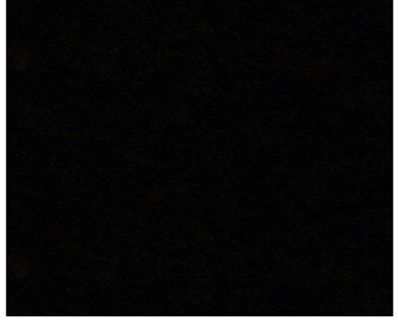 699416fc206351771312892.png