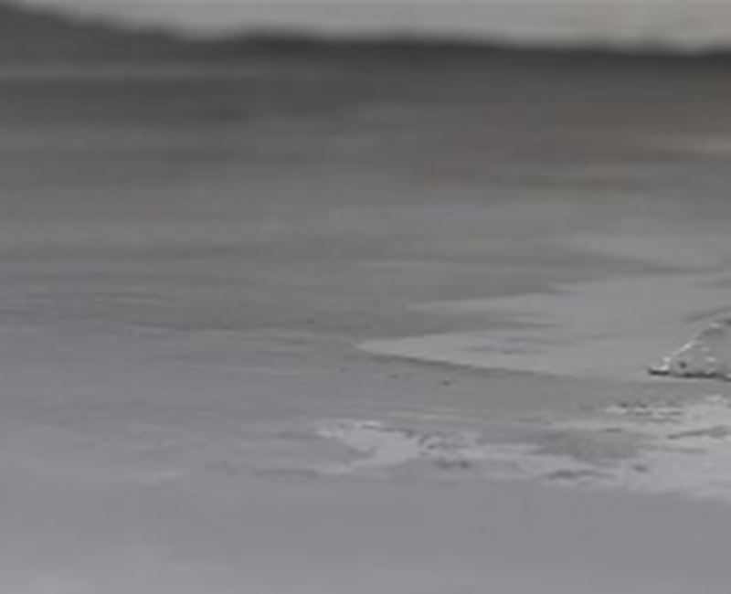 699d451160de31771914513.png