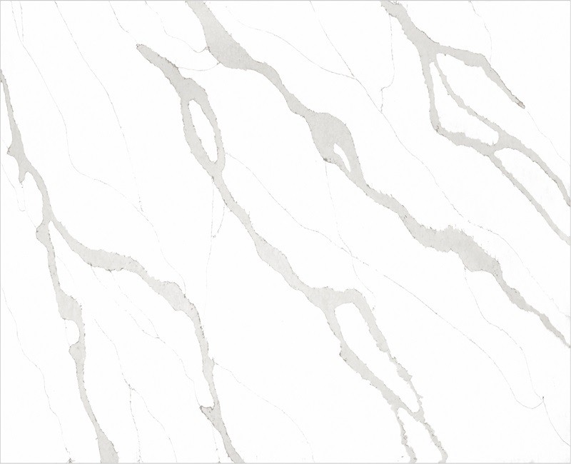 69a706fd58db31772553981.jpg