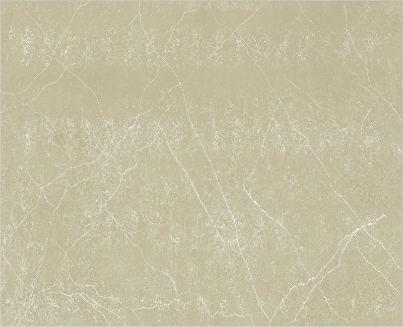 69a70c3b749931772555323.jpg