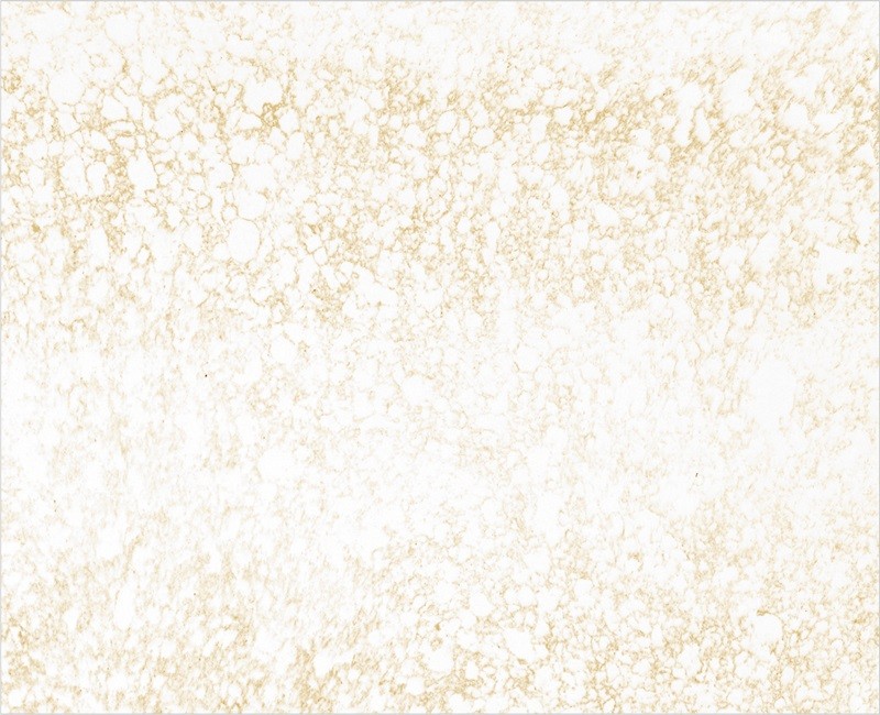 69a717f09b3e61772558320.jpg